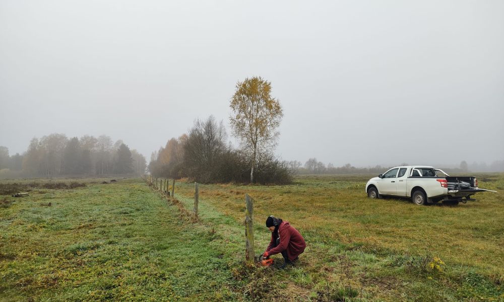 Nowy płot na zimowych pastwiskach!