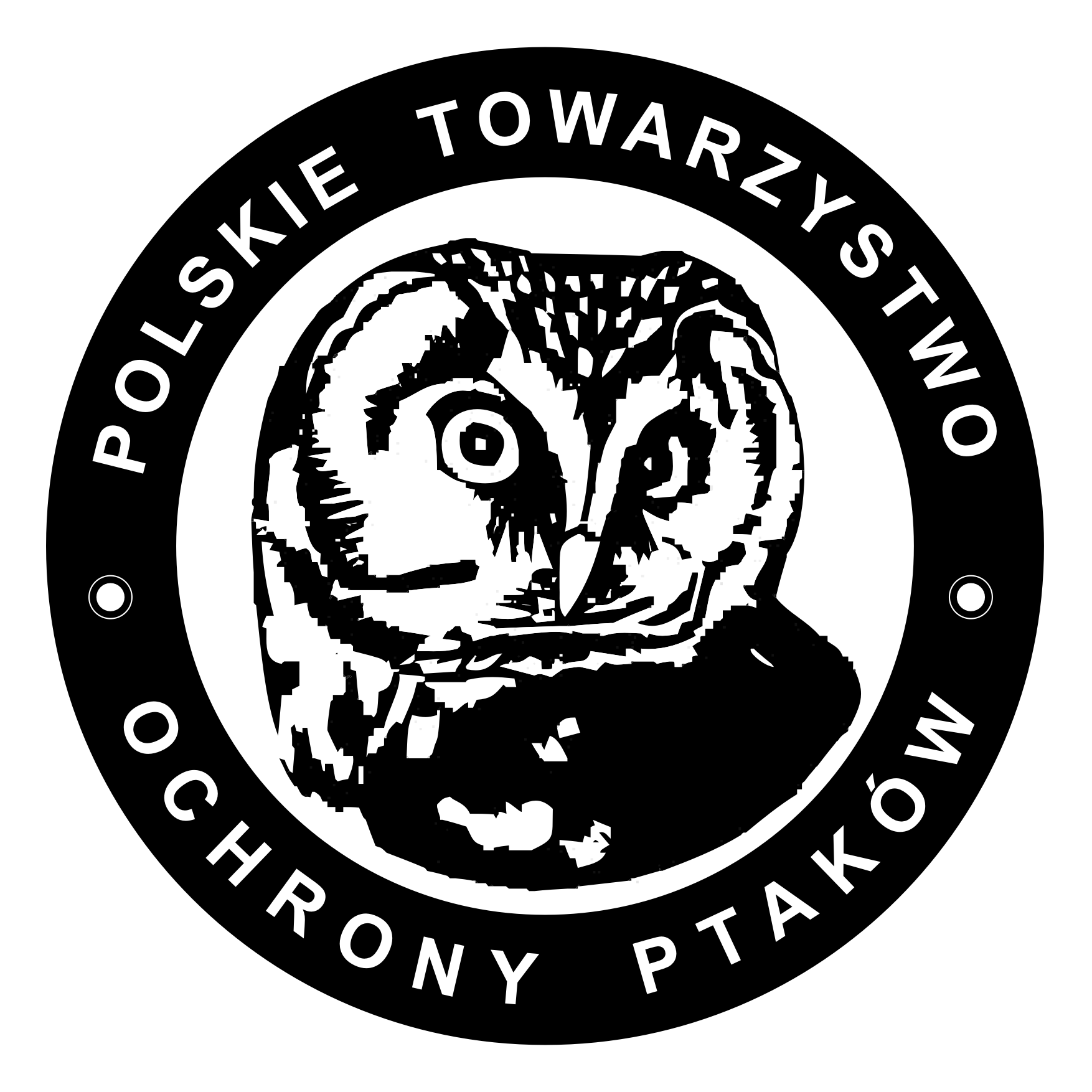 PolskieTOP LOGO