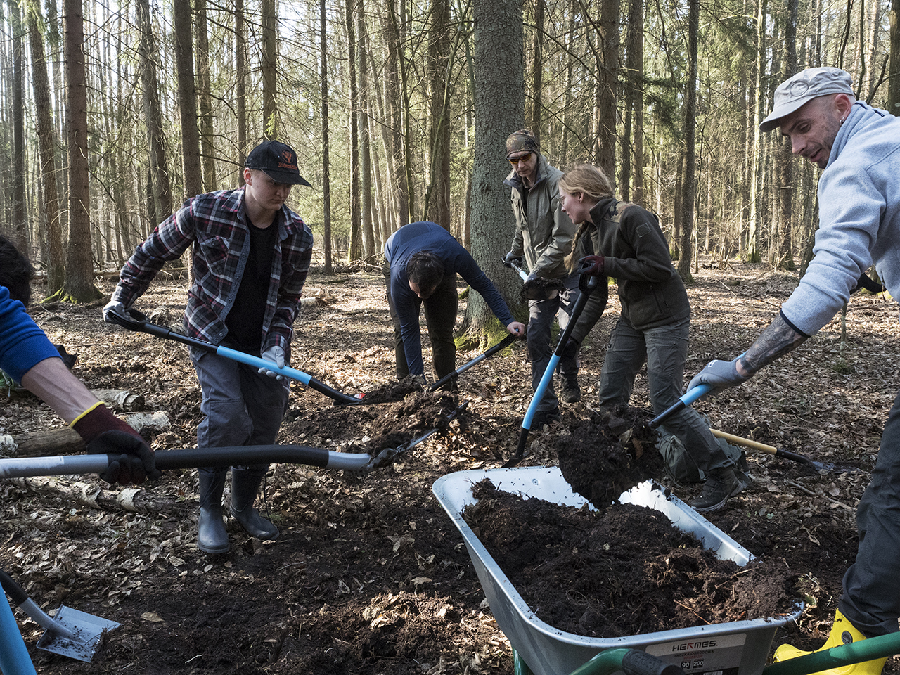Puszcza_Balowieska_przetamowania