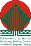 logo_kolor_dofinansowano