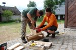 Budujemy budki dla ptaków