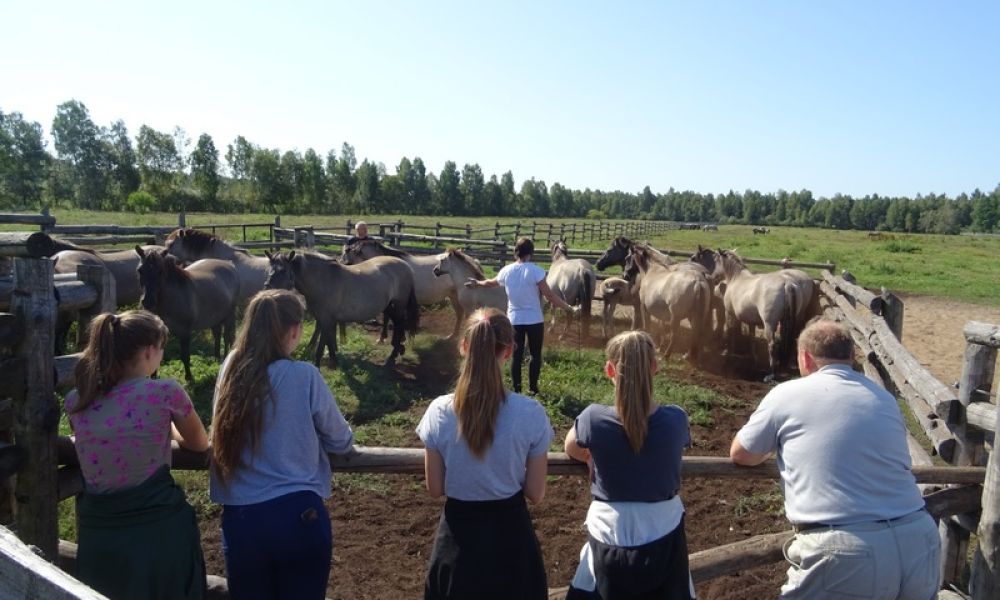 Podsumowanie trzeciego workcampu w Kalitniku